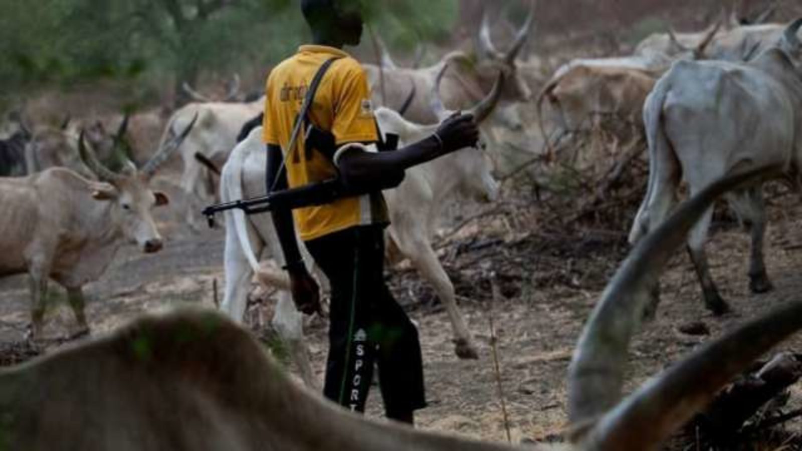20180529-Fulani-herders-@-stock-image