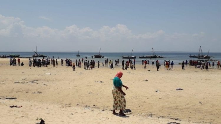 Fresh massacres by jihadists  number of refugees is growing daily in Cabo Delgado  Mozambique November 2020