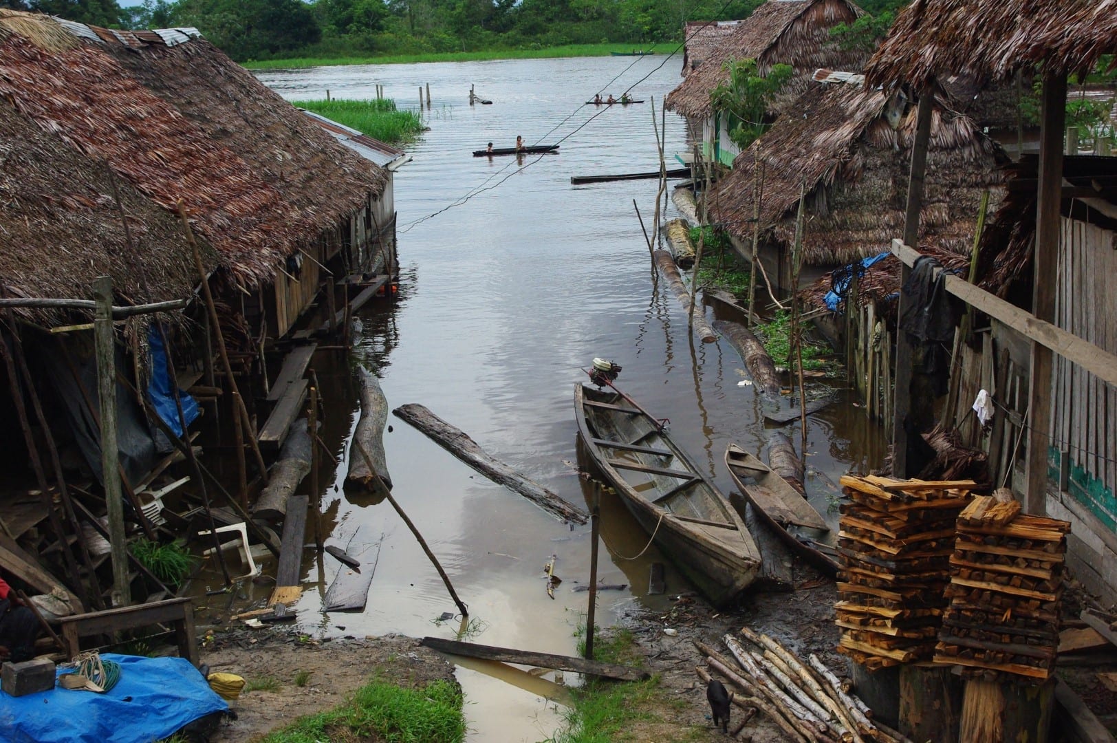 Amazonewoud Peru: “In de steek gelaten tijdens pandemie”