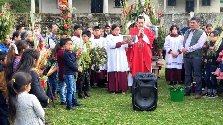 60 Novenas and 30 Gregorian Masses for 206 Legionaries of Christ priests in Mexico