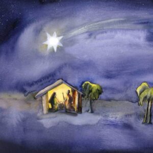 Kerstkaarten-Ster-van-Vrede-8539D_800x800