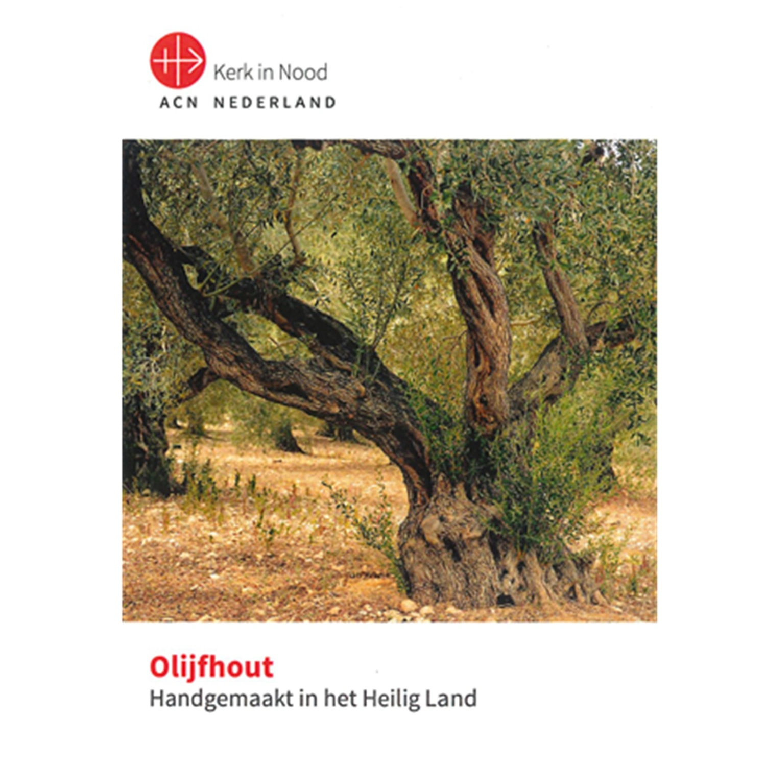 1084-rozenkransarmband-medailles-inlay1 1084-rozenkransarmband-medailles-inlay1